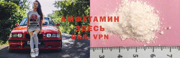 сатива Абаза