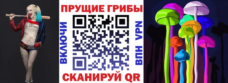 Галлюциногенные грибы Psilocybine cubensis цена omg вход Кандалакша