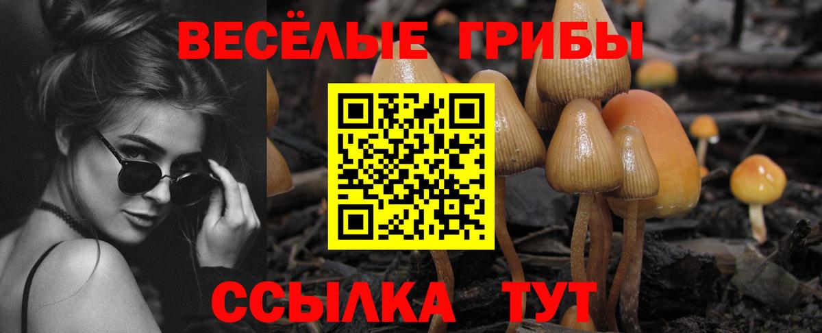 Кандалакша  Псилоцибиновые грибы Psilocybine cubensis  Вход с VPN 